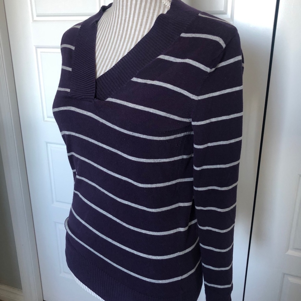 Purple Stripe Gap V-Neck Fitted Sweater